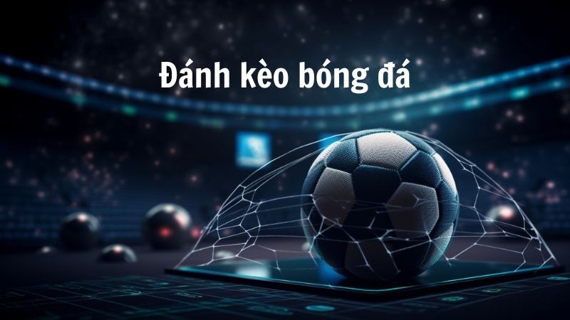 Kèo 1/4 (0.25), kèo 1/2 (0.5), kèo 3/4 được nhiều người ưa chuộng
